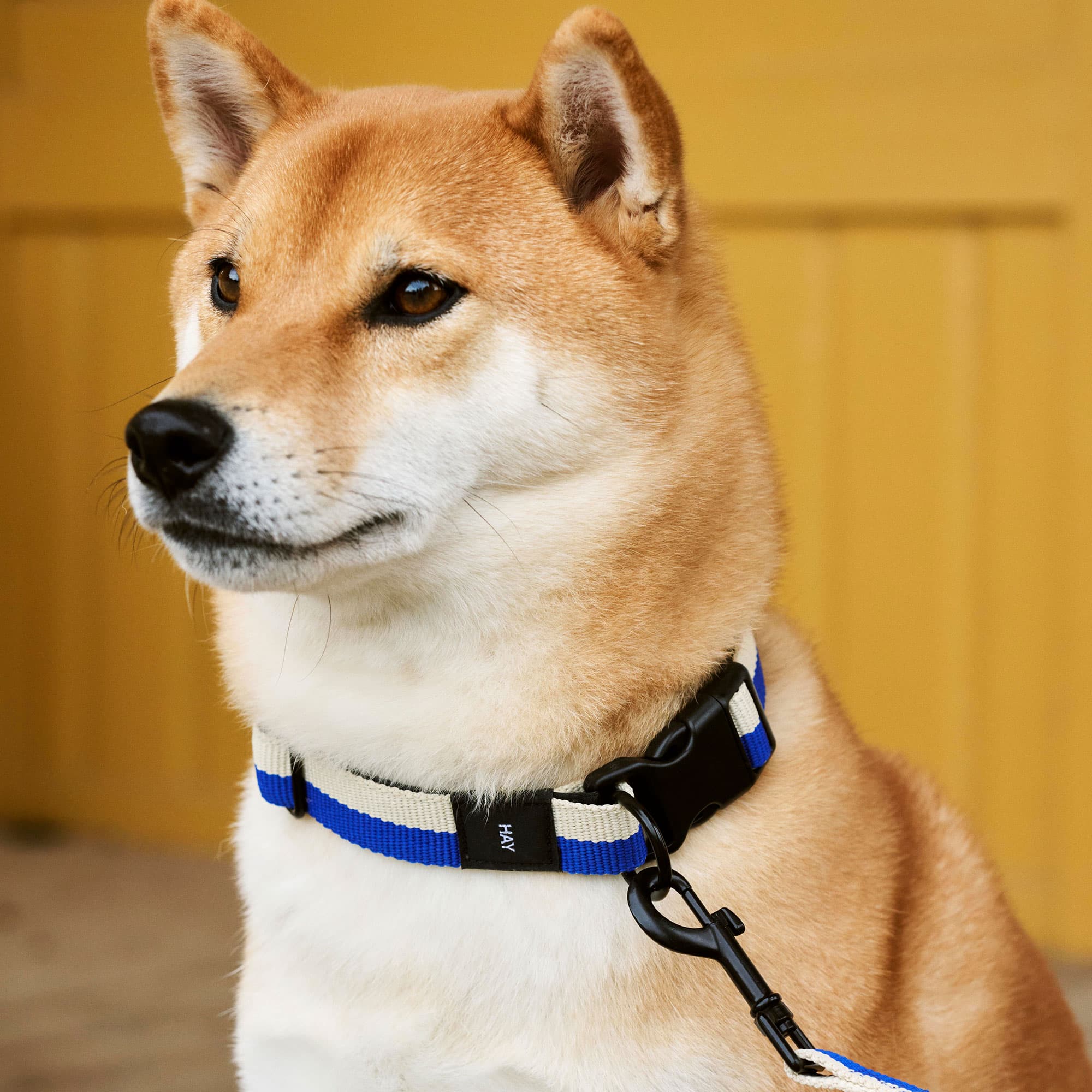 5319