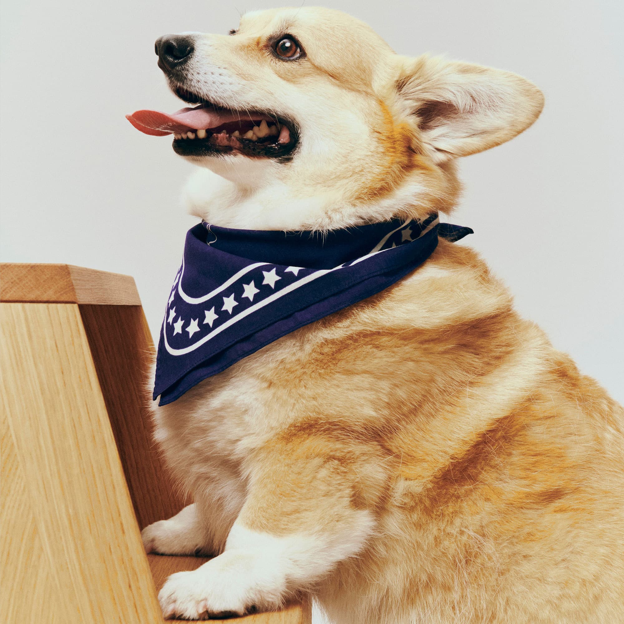 5317