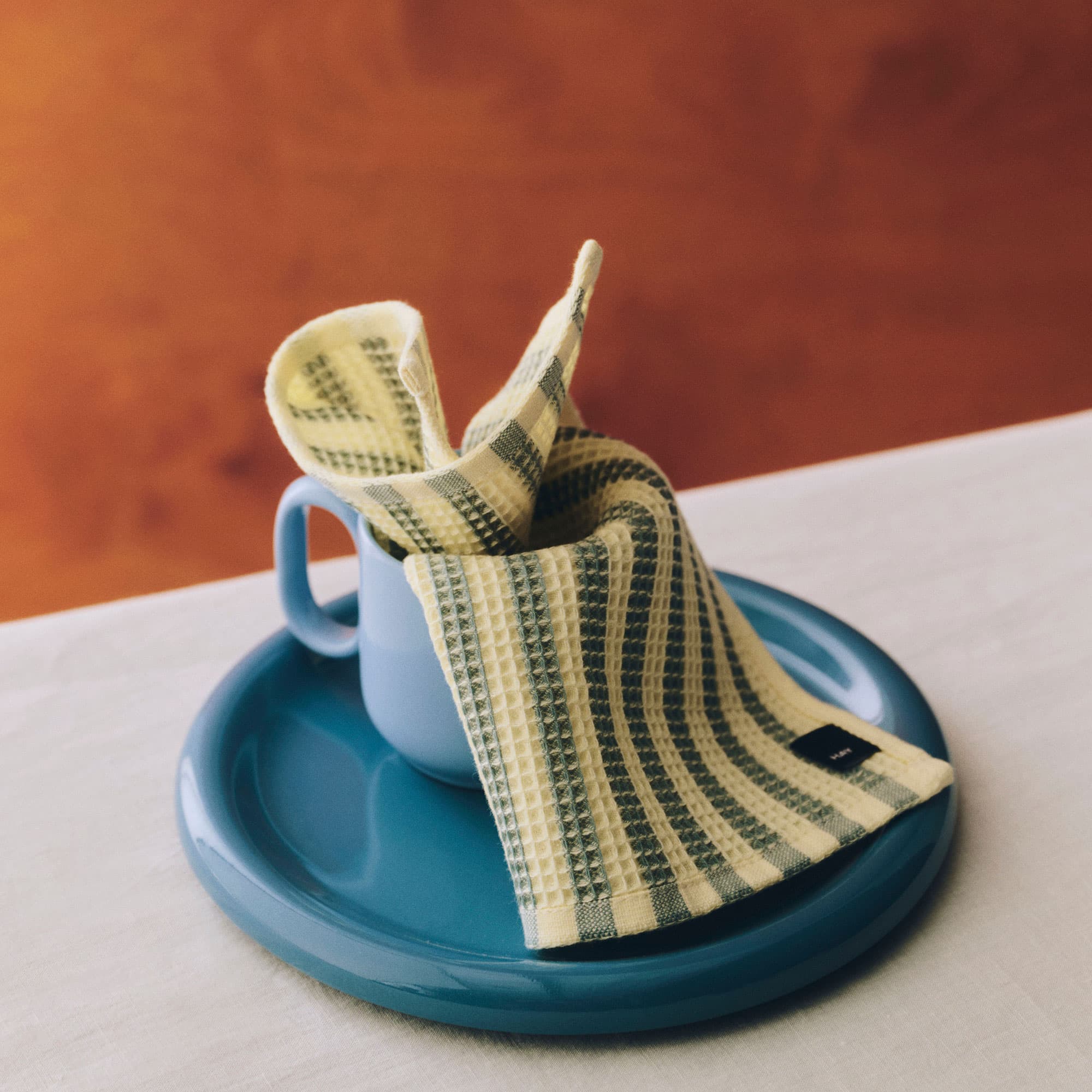 Canteen Dish Cloth Set of 2