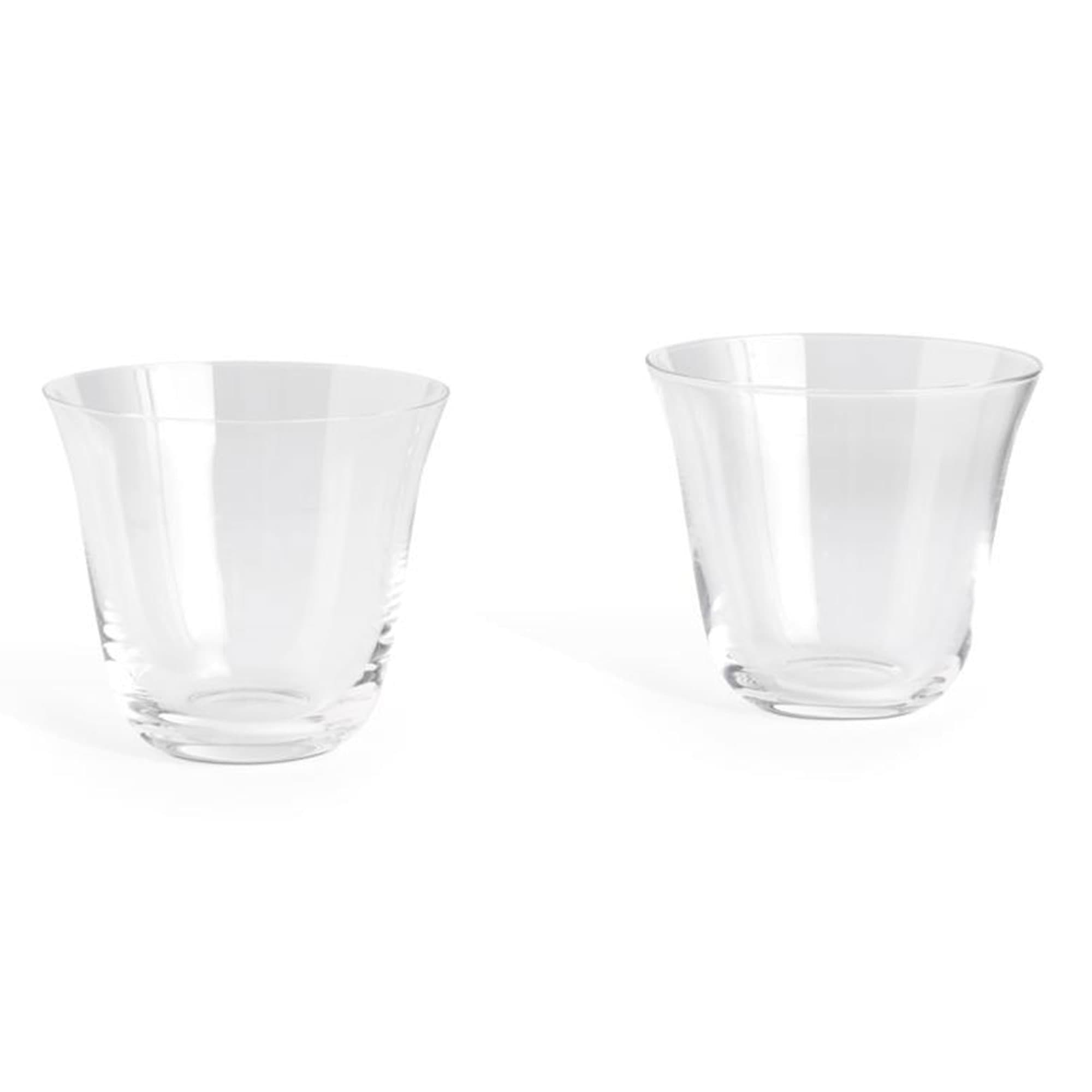 Curve Tumbler Glass Set of 2